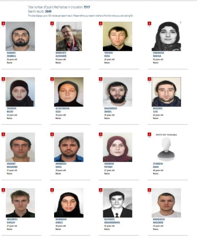 Особенности состава разыскиваемых преступников из РФ по данным Интерпола