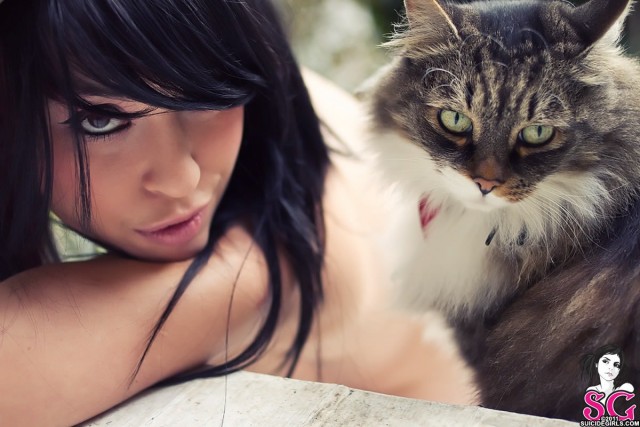Подборочка девушек с котиками. Немного эротики 16+