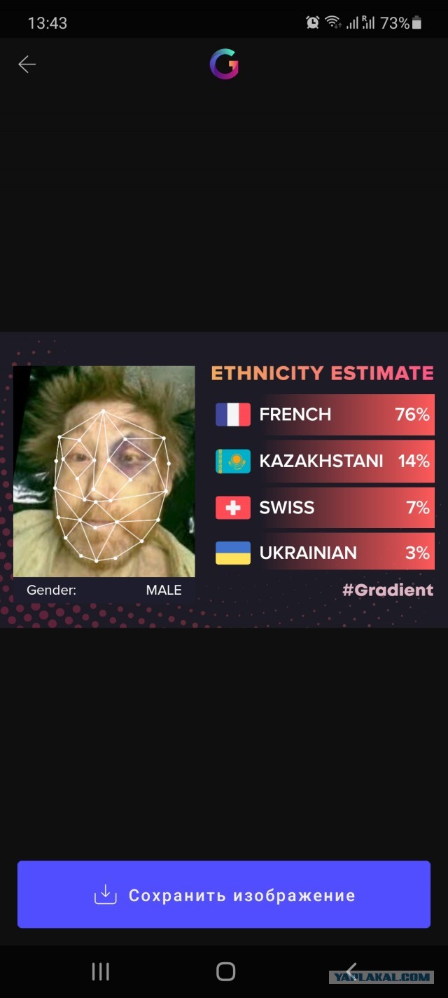 Весёлый полтишок 26.02