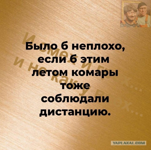 Немного картинок разной степени новизны и адекватности - 4
