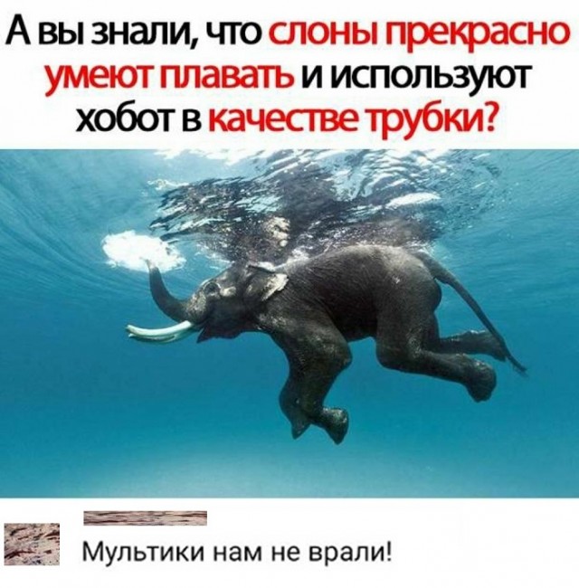 Картинки с надписями и всякие жизненные фразы 1.05.21
