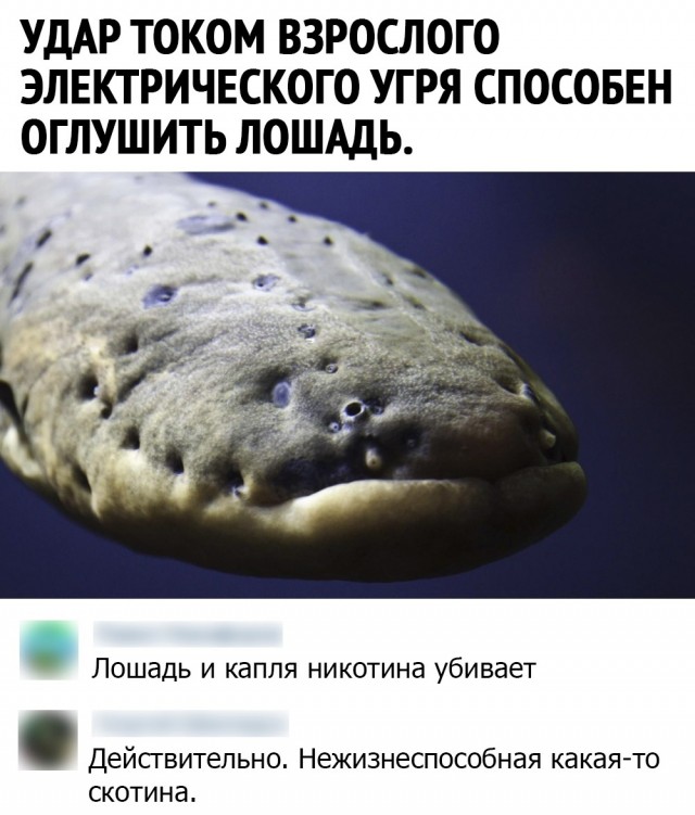 Немного картинок разной степени новизны и адекватности - 5