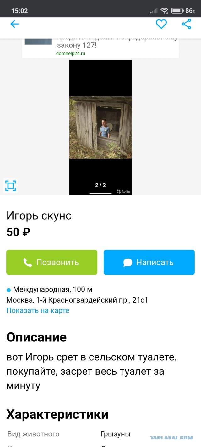Чудики с Авито
