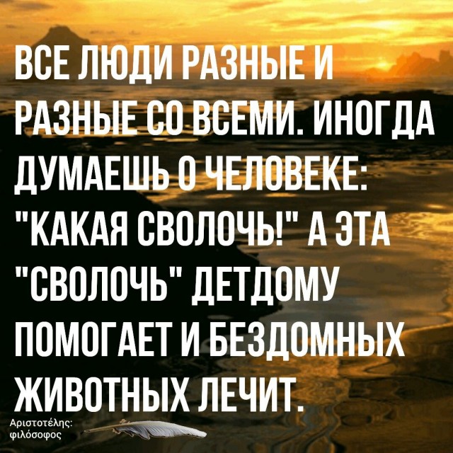 Весёлый полтишок 28.06.21