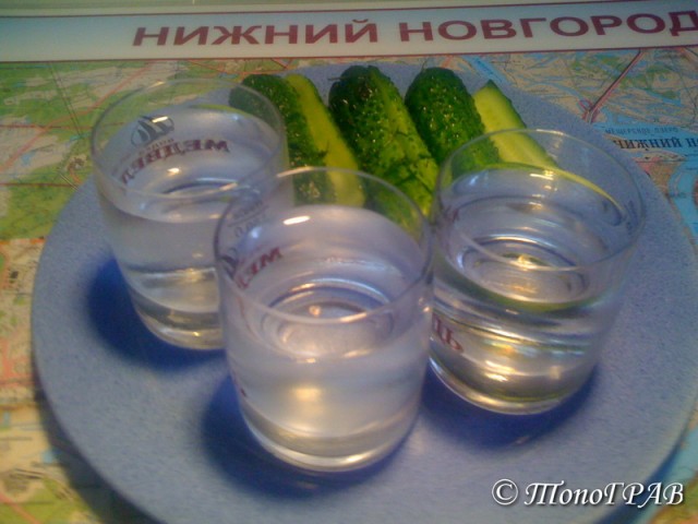 Огурцы малохольные от ТопоГРАВа
