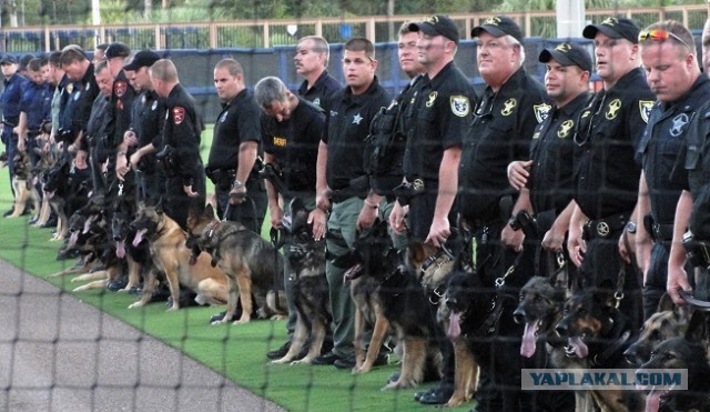 Попытки разгона протестующих против антикоронавирусных ограничений в Мельбурне