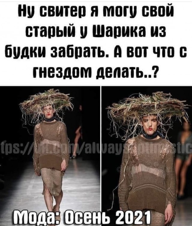 Картинки и мемы 08.10.2021