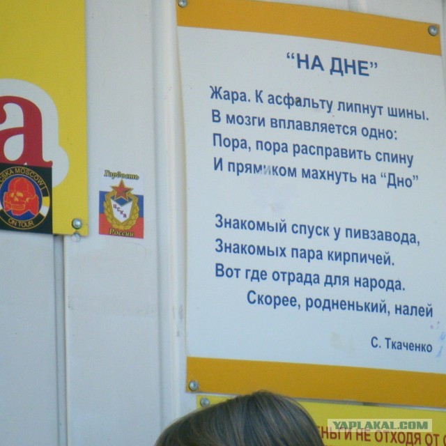 Пивной альбом. Часть первая