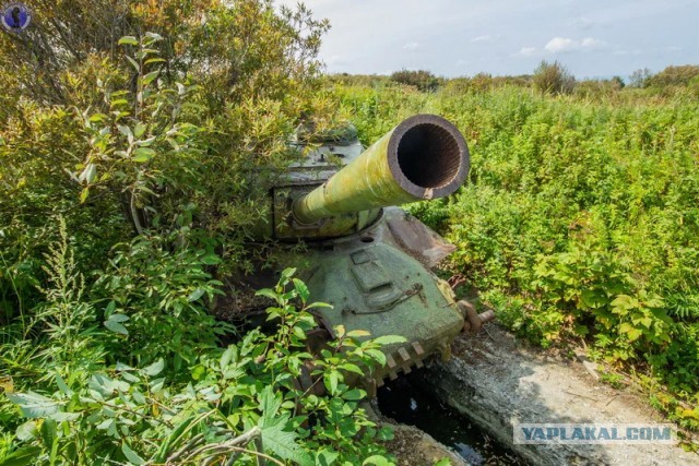Редчайший танк ИС-2М с ломанным носом: заброшенная на Сахалине рота танковых огневых точек ИС-2 "Стародубское"