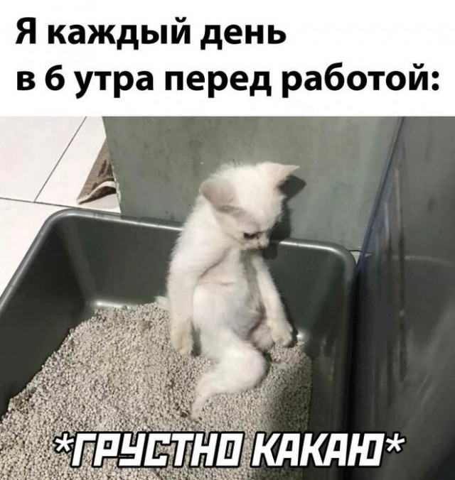Баянисто-небаянистый юмор 30.07.22