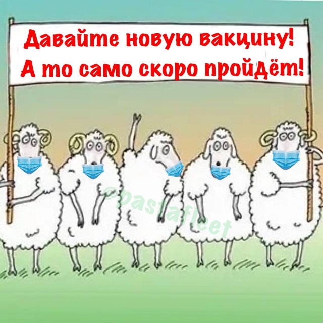 Пандемия съехавших крыш - разновидности болезни. Россия и мир. Часть 41.