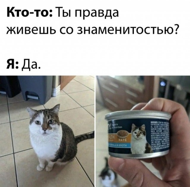 Скриншоты и комментарии из социальных сетей 1.10.22
