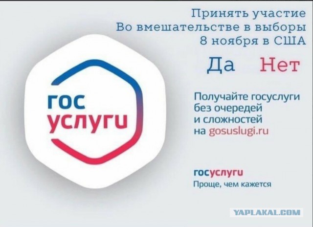 Стали известны результаты первых экзитполов на выборах в США