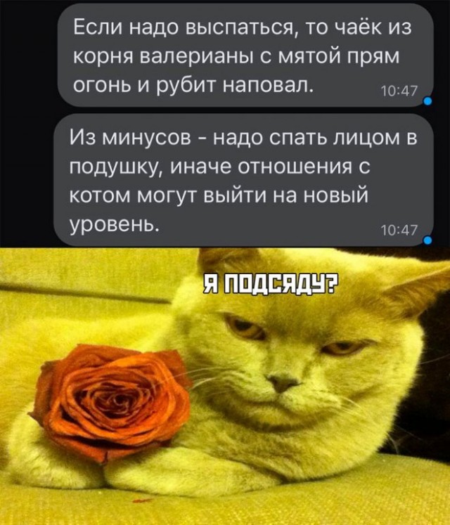 Немного картинок для настроения - 137