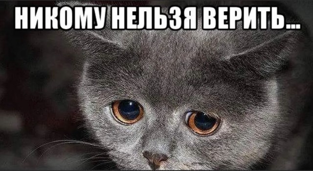 Победная поступь идиотизма по планете – том 5