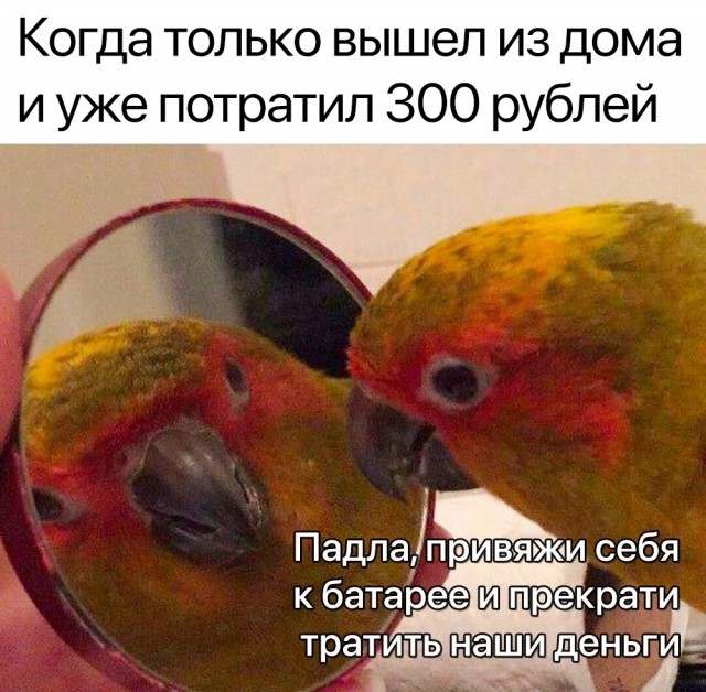 Картинки с надписями 28.01.23