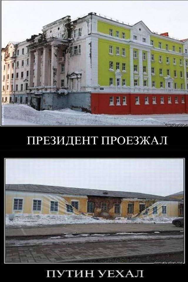 Баннеры, отлов собак и пропавший губернатор. Волгоград готовится к приезду президента