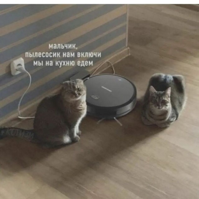 Средненедельная ХНЯ