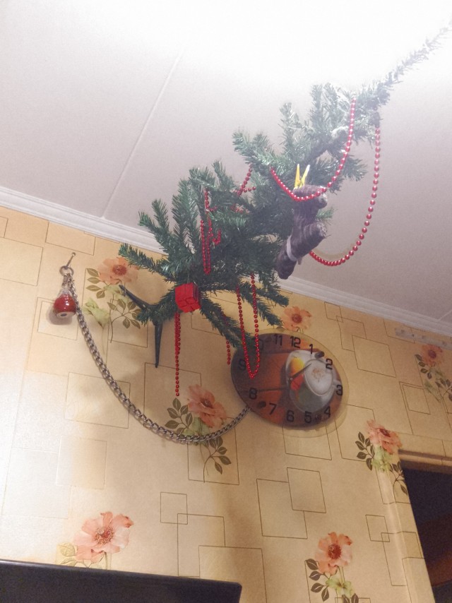 Показываем свои деревья