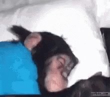 Семейный доход