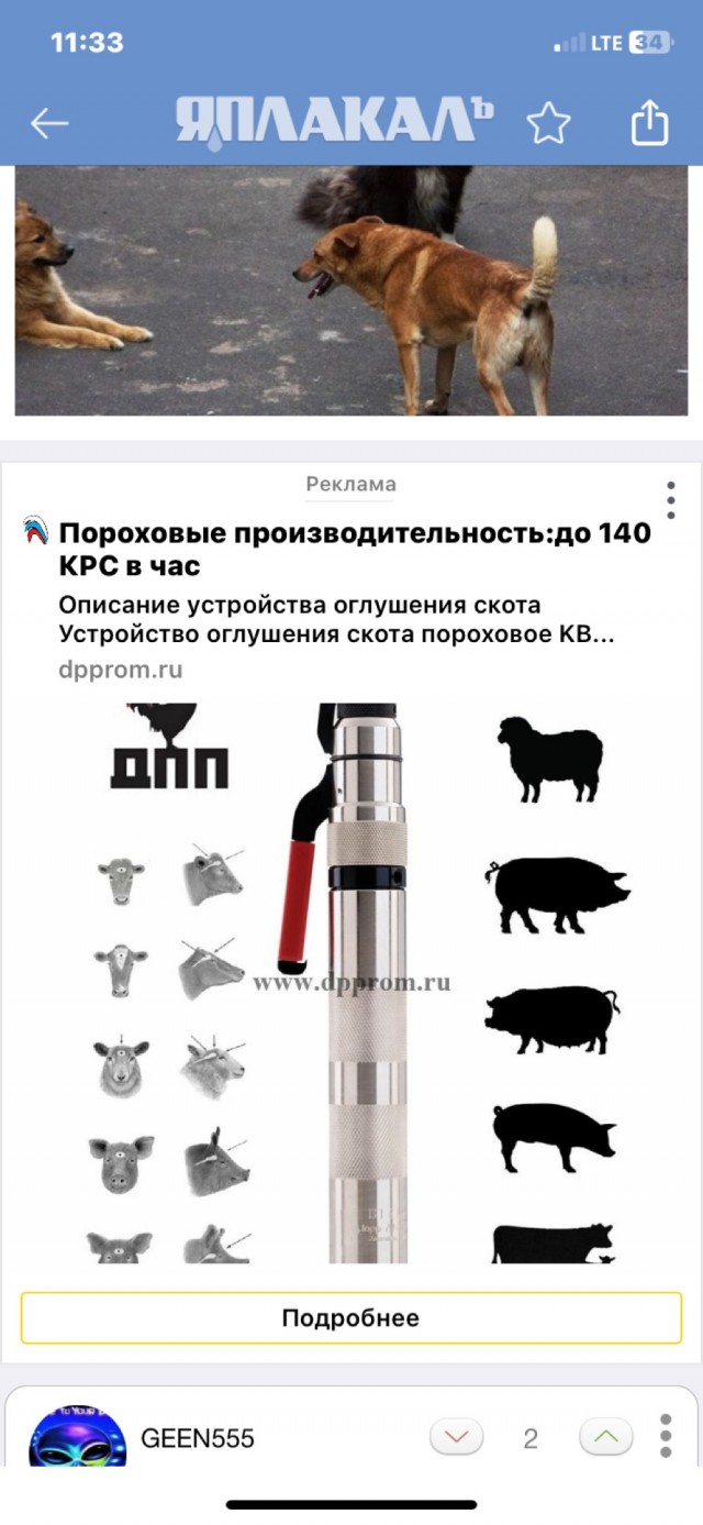 Оренбуржцы принимайте поздравления