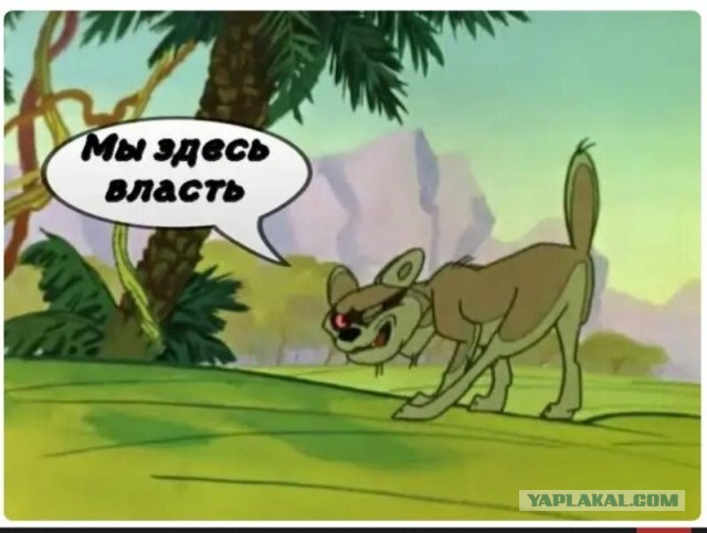 Пробка на 3 дня