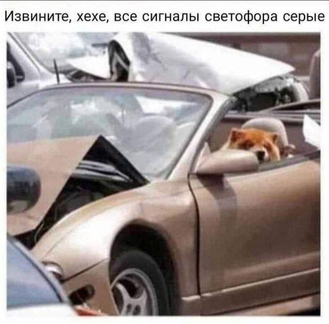 Никакие картинки