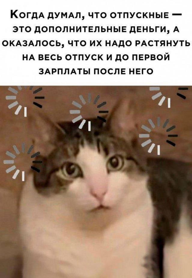 Прикольные и просто красивые картинки 28.06.2024