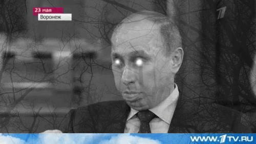 Вот вам всем, а не конституция!