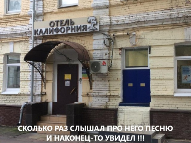 Немного забавных картинок от 22.08.2024