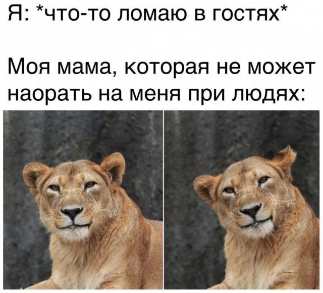 Завалялось тут случайно немного забавных картинок