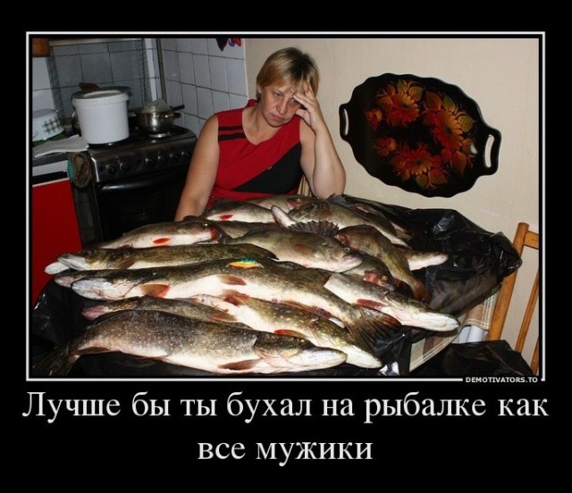 Погода подвела, а может и не погода