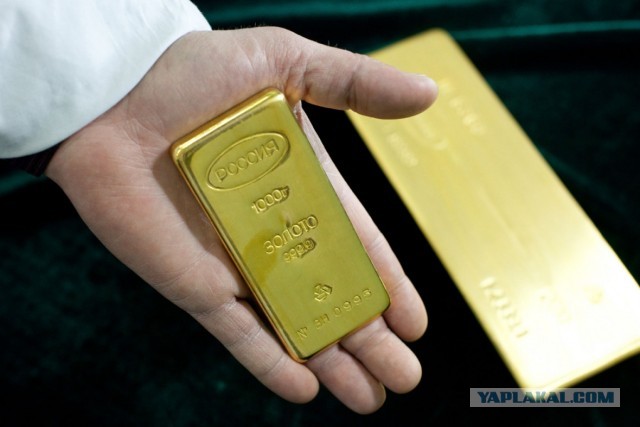 Мошенники развели московскую студентку более чем на 50 миллионов рублей