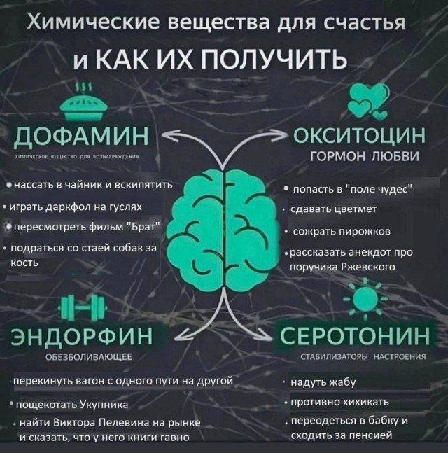 Весёлый полтишок 10.12.24