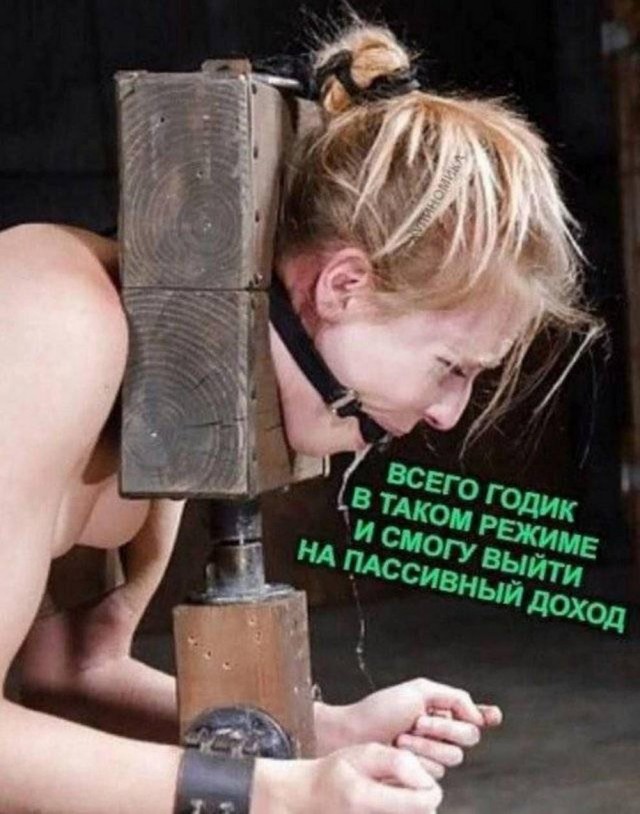 Нуштош 13.12.2024
