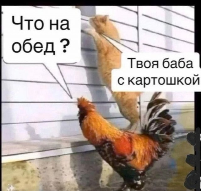 Так себе картинки 16.01.25