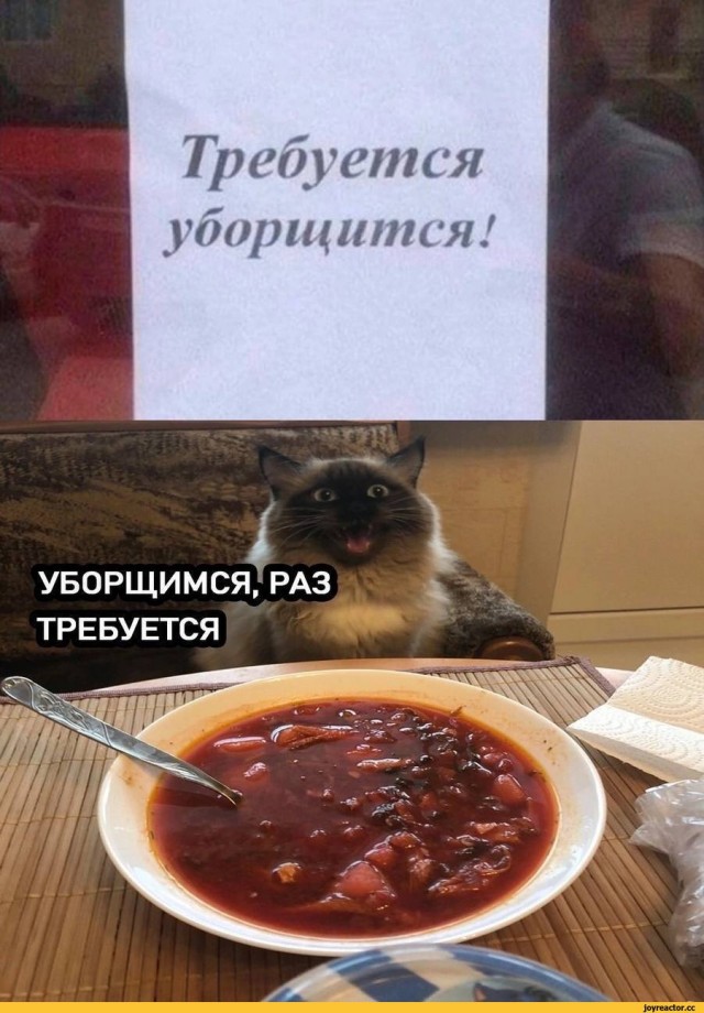 Стыдно ли работать уборщицей