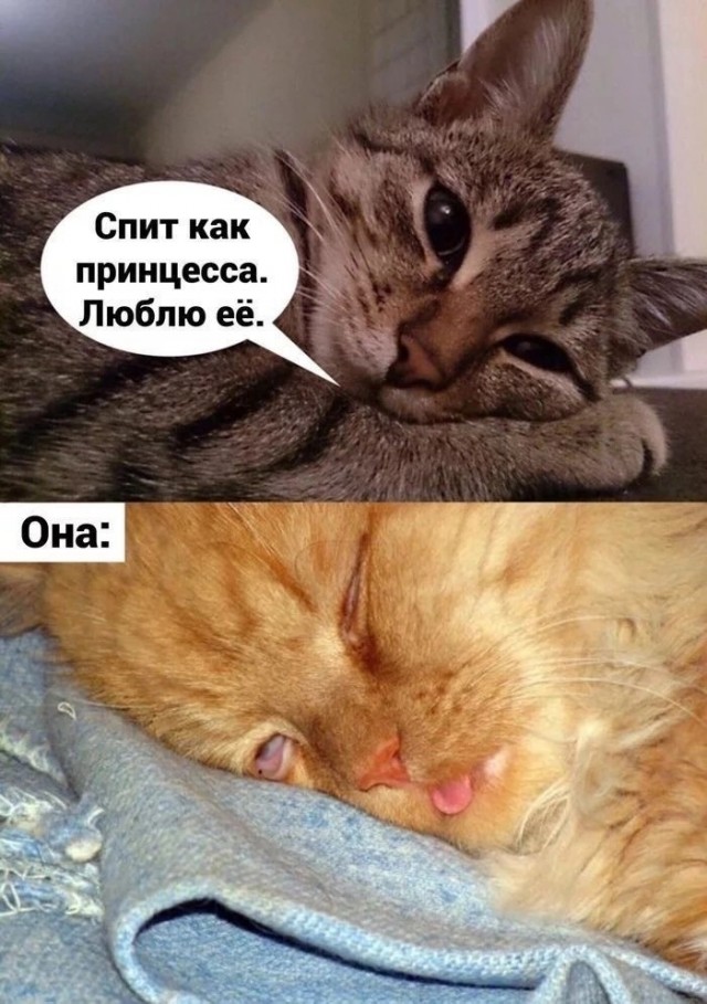 Прикольные и просто красивые картинки 14.03.2025