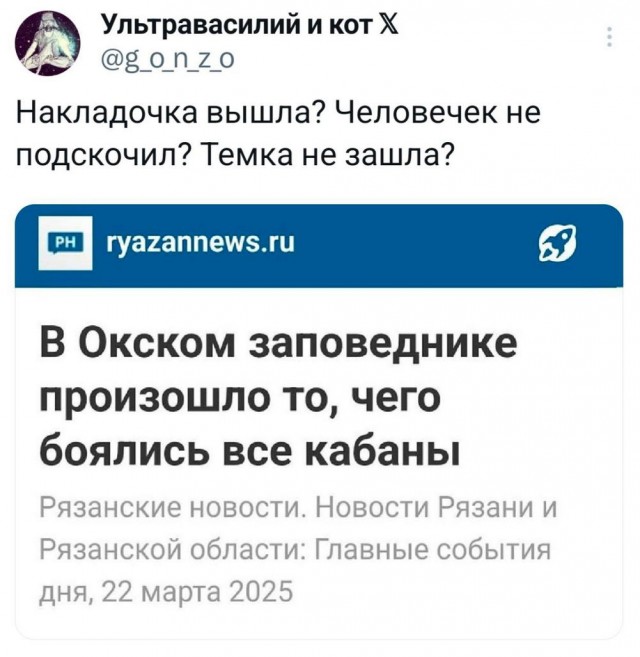 Синий Винстон