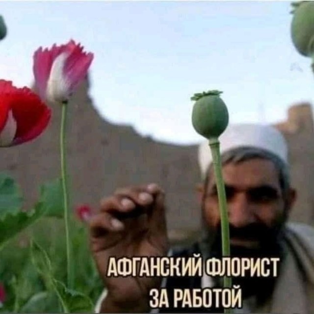 Маленькая пятница 4.06.25
