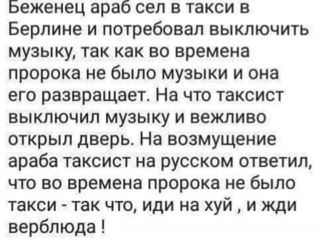 Весёлый полтишок 08.07.25