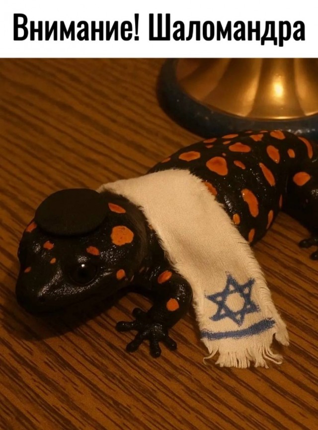 Юмор для тех, кто уже повзрослел и понял, что «любимый сериал» — это тот, под который хорошо засыпается