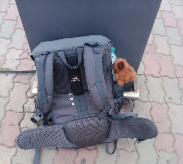 Итак сова, готовся