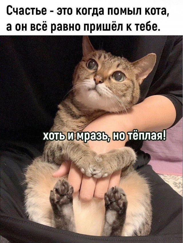 Картинки для деградации 34 (разной степени свежести)