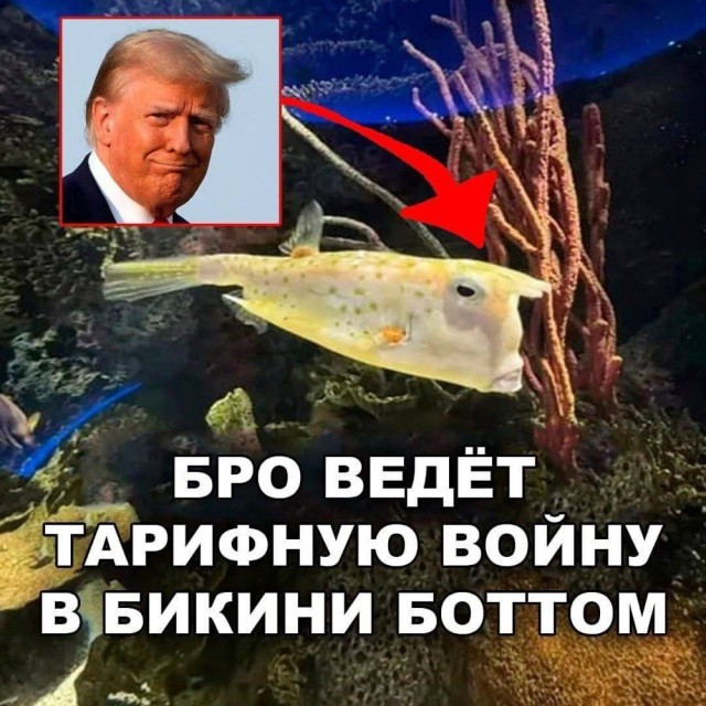 Веселое настроение в картинках (01.10.2025)