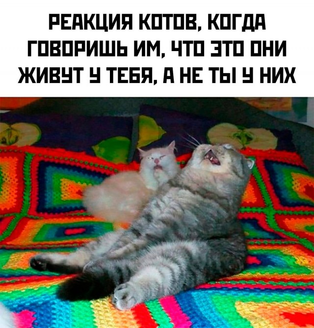 Картинки для деградации 87 (разной степени свежести)