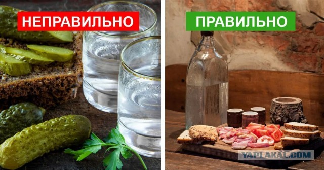 Айзенк и Собачье сердце