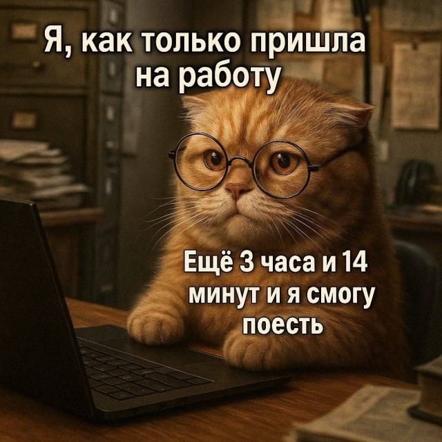 Прикольные и просто красивые картинки 06.01. 2026