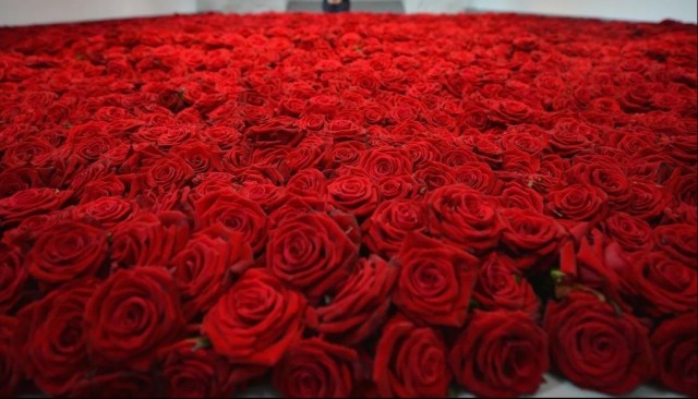 Мысли вслух или миллион роз