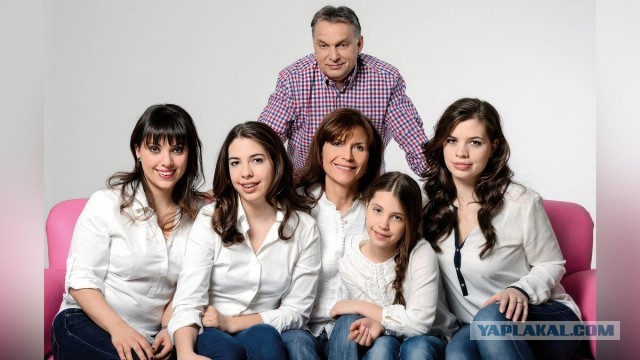 Можно ли поднять рождаемость деньгами? Венгерский опыт